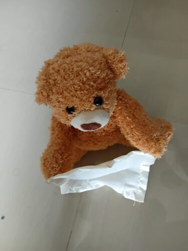 Hide & Seek Bear – Talking Plush photo review