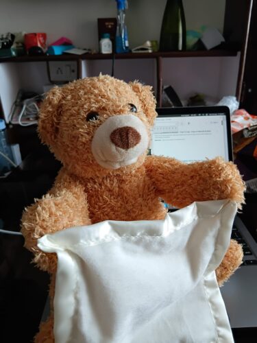 Hide & Seek Bear – Talking Plush photo review
