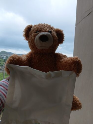 Hide & Seek Bear – Talking Plush photo review