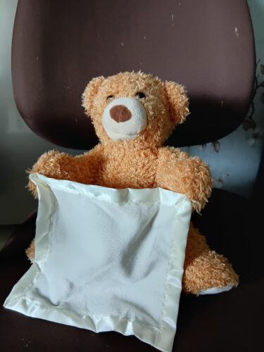 Hide & Seek Bear – Talking Plush photo review