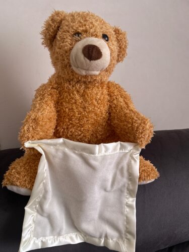 Hide & Seek Bear – Talking Plush photo review