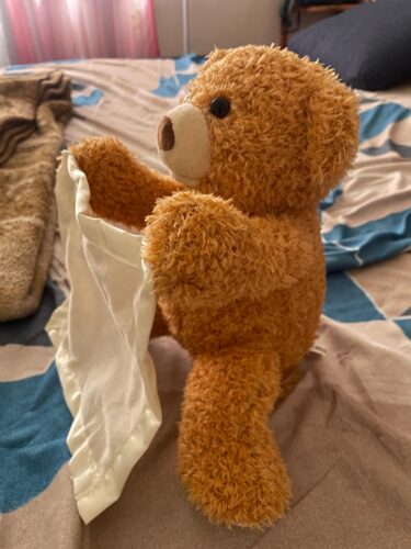 Hide & Seek Bear – Talking Plush photo review