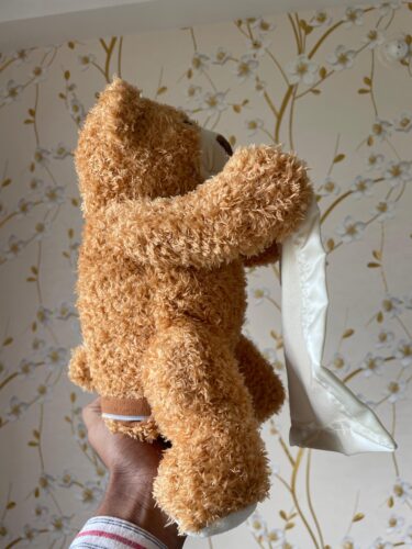 Hide & Seek Bear – Talking Plush photo review
