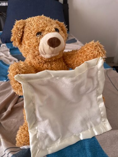 Hide & Seek Bear – Talking Plush photo review