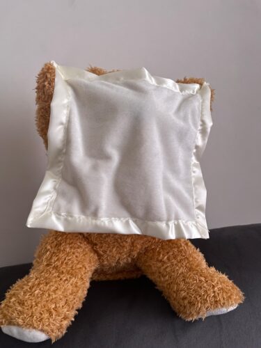 Hide & Seek Bear – Talking Plush photo review