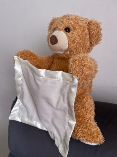 Hide & Seek Bear – Talking Plush photo review